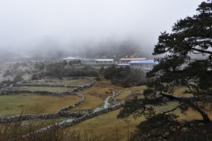 _dsc0483