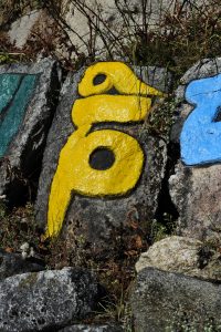 _dsc0617